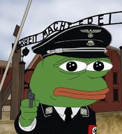 gun natsoc nazi pepe // 640x703 // 332KB