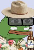 alcohol beer clothes flower frog hat hawaiian_shirt hoegaarden leaf pepe pineapple shirt sunglasses sunscreen // 1006x1482 // 1.4MB