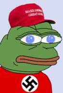 blue_eyes clothes frog hat maga nazi nazism pepe tshirt // 1344x1973 // 762KB