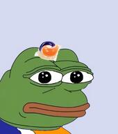 hat pepe tide_pod // 401x453 // 88KB