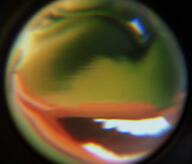 ai_generated circle laughing pepe pepelaugh sound video // 560x480, 19.4s // 2.6MB