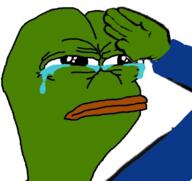 crying pepe salute // 670x631 // 267KB