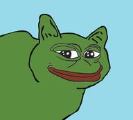 cat pepe // 770x698 // 86KB