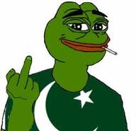 cigarette fuck_you pakistan pepe // 250x241 // 6.8KB