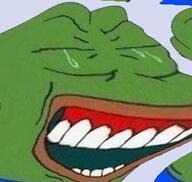 distorted laughing pepe // 503x478 // 25KB