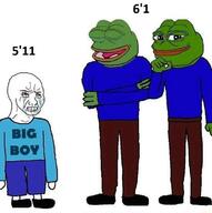 height laughing pepe wojak // 747x751 // 54KB