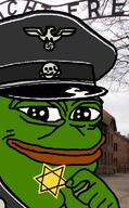 natsoc nazi pepe // 477x768 // 191KB