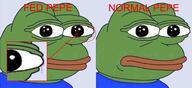 fed meme pepe // 1400x641 // 458KB