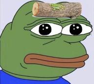 hat log pepe // 716x638 // 526KB