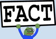 big_sign fact variant:pepe // 4273x2939 // 42KB