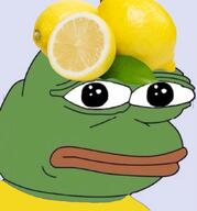 food lemon pepe // 976x1046 // 87KB