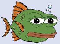 fish pepe // 350x261 // 73KB